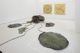 Roland Persson: Flora & Fauna (and some drawings, too), installation view