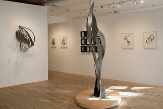 David Cerulli: Recent Sculptures and Drawings, installation view