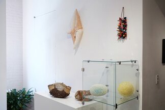 The Nature of Things: Contemporary Japanese Woven Sculpture, installation view