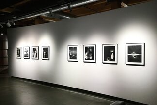 Photograms: Len Gittleman & György Kepes, installation view