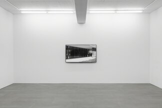 Maria Taniguchi, installation view