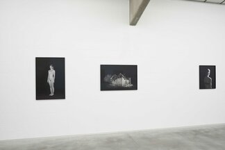 Through The Lens - Platform For Photography, installation view