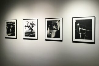 Photograms: Len Gittleman & György Kepes, installation view