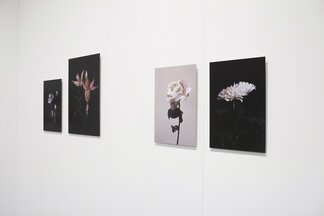 A.I. Gallery at UNSEEN Photo Fair 2017, installation view