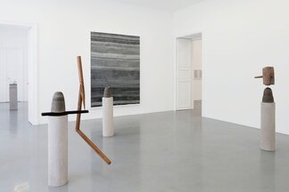 BHARTI KHER "THE LAWS OF REVERSED EFFORT", installation view