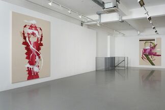 Vulture and Chicks, installation view