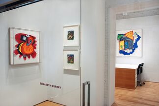 Elizabeth Murray: Selected Works, installation view