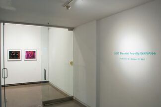 2017 Biennial Faculty Exhibition, installation view
