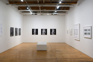 Trace Copy Render, installation view