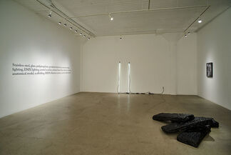 Anthony Discenza Presents A Novel: an Exhibition by Anthony Discenza, installation view