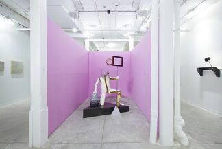 GEOMETER // Steven Pestana, installation view
