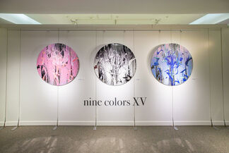 nine colors XV, installation view