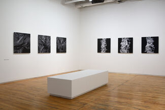 Trace Copy Render, installation view