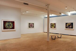 Terry Winters: Clocks and Clouds, installation view