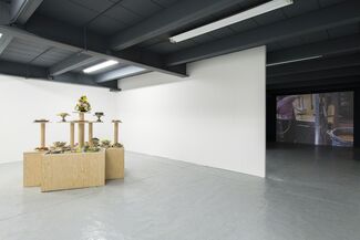 Food for Thought, installation view
