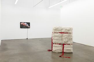 The Pain of Others, installation view