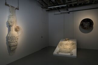 Erez Nevi Pana: Consciousness, installation view