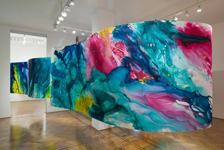 Martin Reyna · Color in transit, installation view