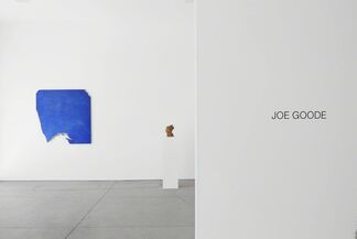 Joe Goode, installation view