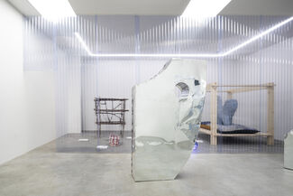 The Perception of Narcissus, installation view
