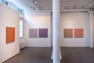 Mariano Ferrante : Studies, installation view