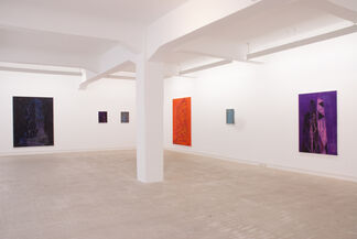Enoc Perez - Monochromes, installation view