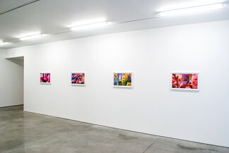 Sandy Skoglund, installation view