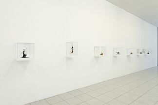 Kara Walker, installation view