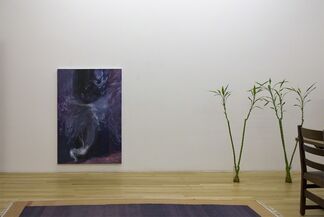 Exalted Position, installation view