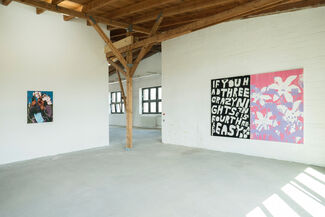 Mixed Pickles 8, installation view