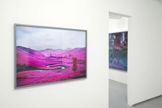 Richard Mosse: The Enclave, installation view