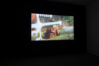 Damon Packard: Tales of the Valley of the Wind, installation view
