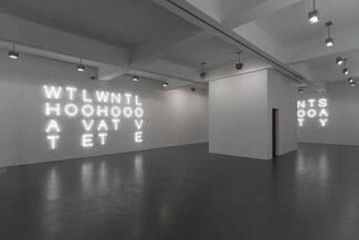 White On White, installation view