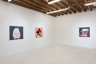 Chris Finley 'Drool, Snatch, Clean and Jerk', installation view