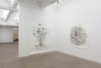 I Rot Before I Ripen, installation view