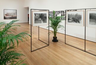 Ocean of Images: New Photography 2015, installation view