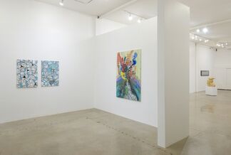 Across the Pacific: Contemporary Chinese Artists, installation view