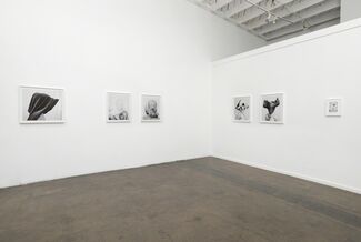 Arden Surdam: Hold Your Breath, installation view