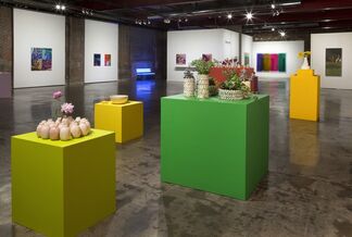 Color-aid, installation view