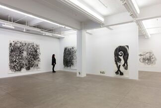 I Rot Before I Ripen, installation view