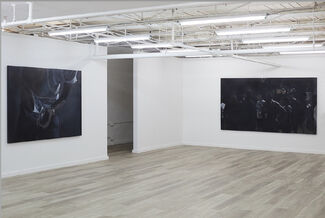AT THE FEET OF MOUNTAINS, installation view