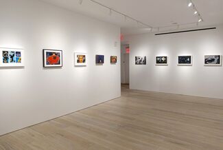 Primordial Language: Small Works by William Scharf, installation view