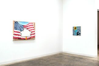 Lisa Adams: America The Beautiful, installation view