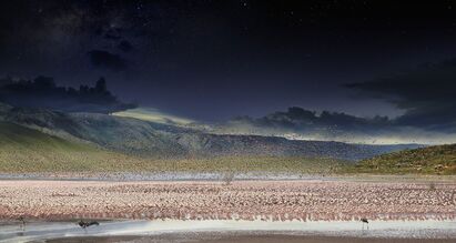 Stephen Wilkes, ‘Day to Night, Flamingos, Lake Bogoria, Kenya’, 2017