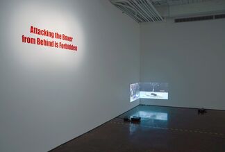 Li Liao: Attacking the Boxer from Behind is Forbidden, installation view
