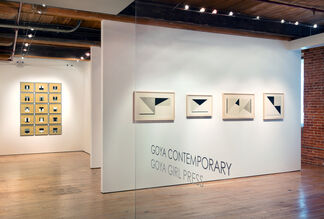 Timothy App: The Aesthetics of Precision, Forty-Five Years of Works on Paper, installation view