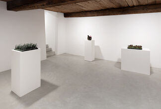 Federico Tosi - Vento Forte, installation view