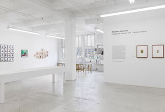 Mistaken Identities: Images of Gender and Transformation, installation view