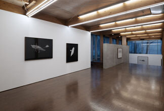 SF, installation view