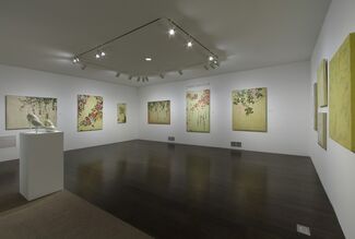 Kaoru Mansour, installation view